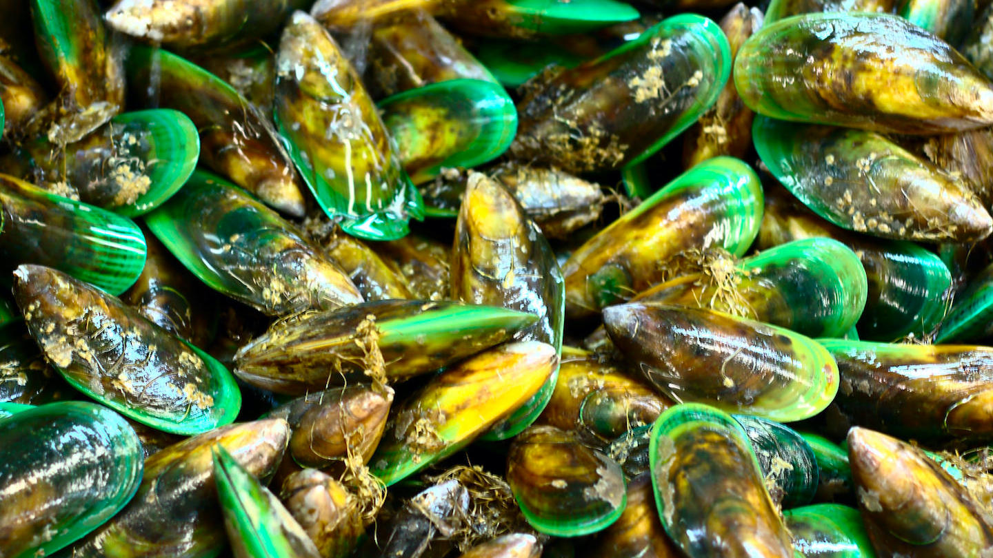 Green Mussels dish